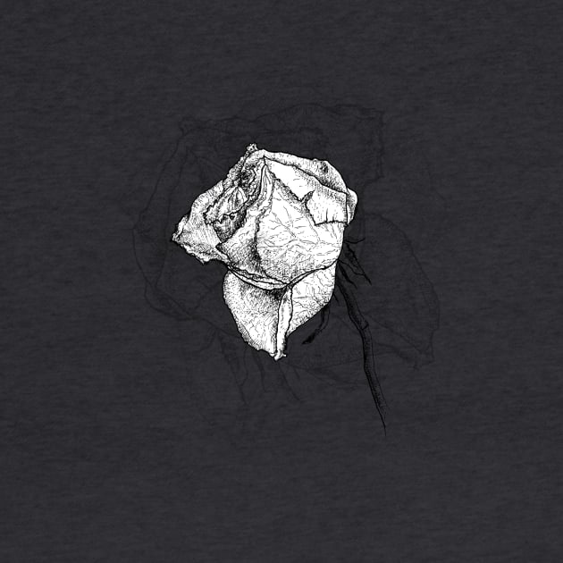 White Rose by Averinartprint